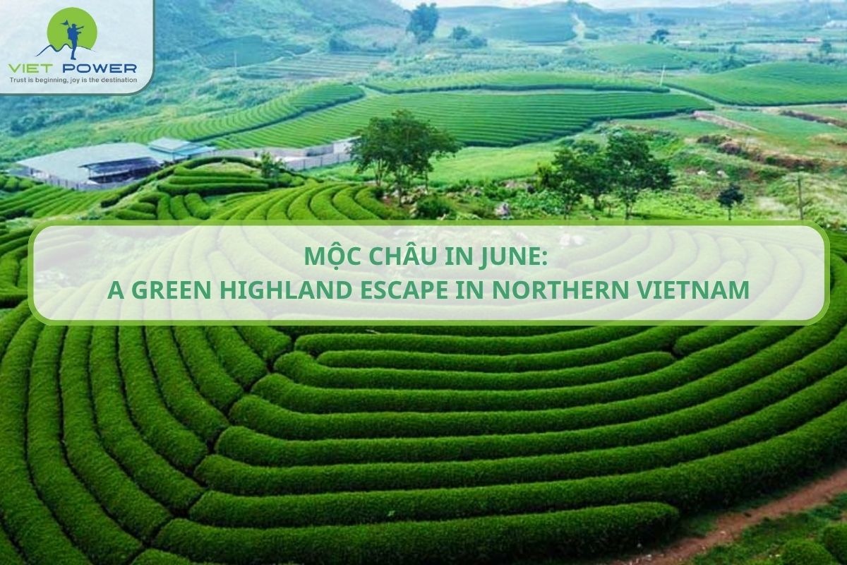 Moc Chau in June: A Green Highland Escape in Northern Vietnam