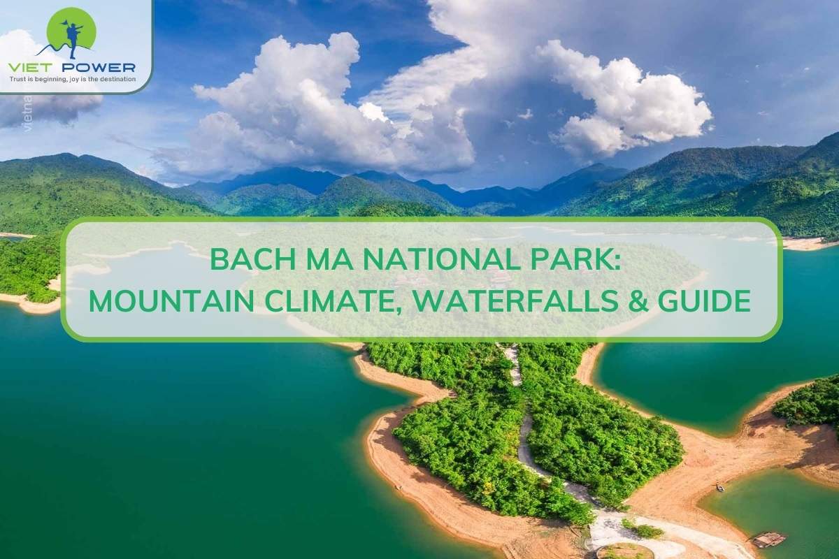 Bach Ma National Park: Mountain Climate, Waterfalls & Guide