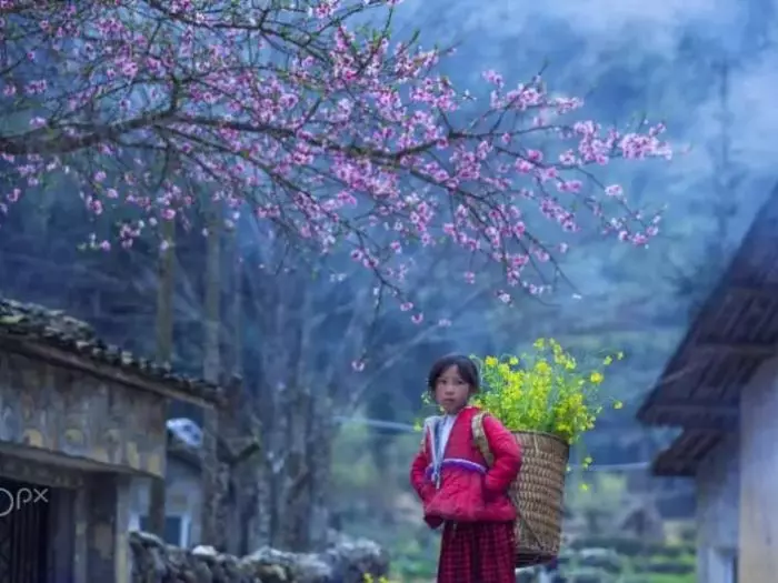 7 Days of Rest on the Wild Road in Northeast Vietnam