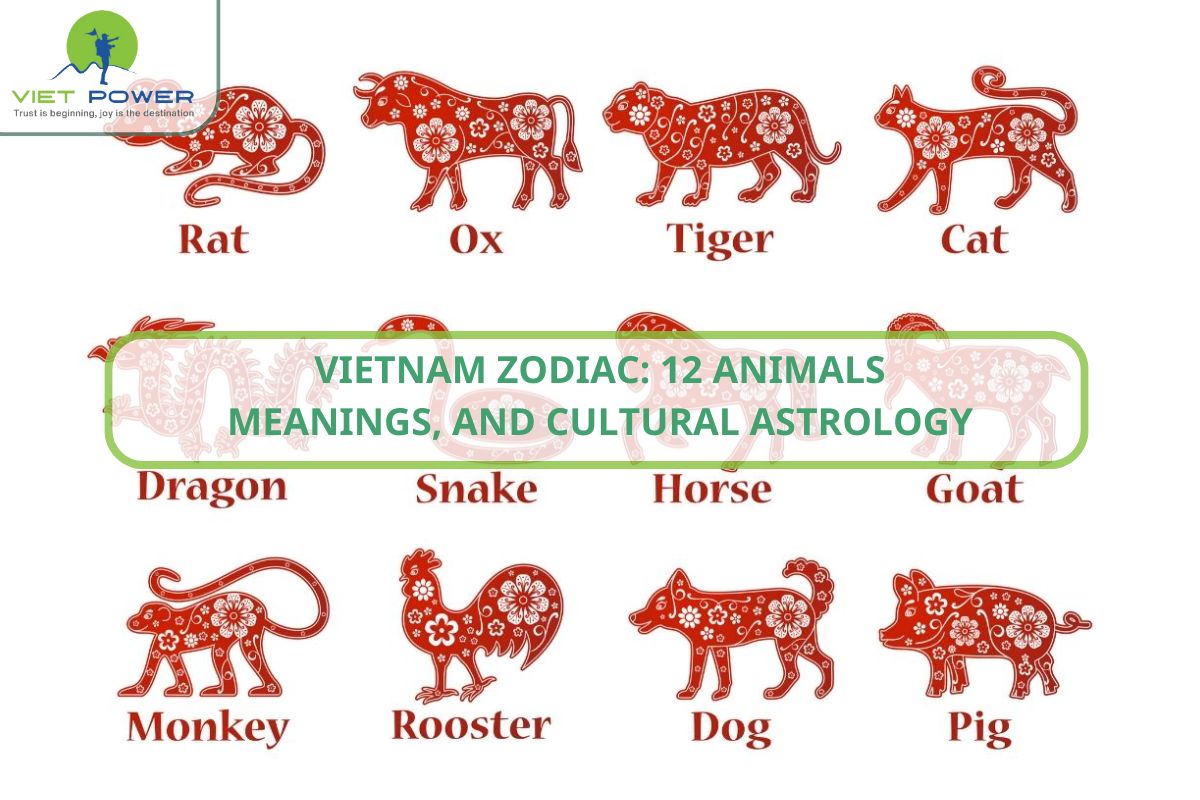 Vietnam Zodiac: 12 Animals, Meanings, and Cultural Astrology