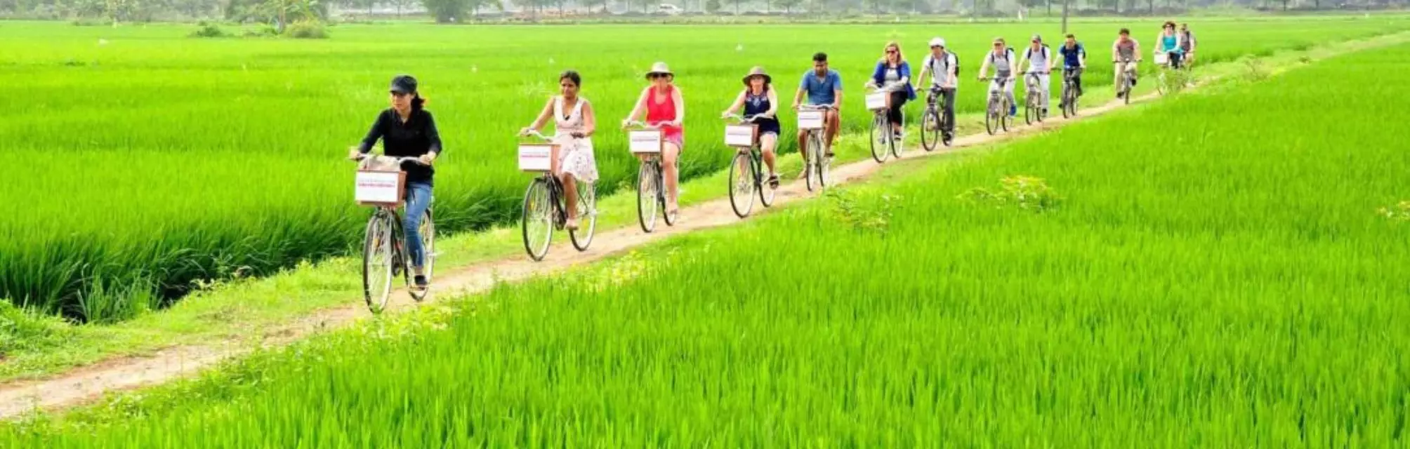 best tour travel