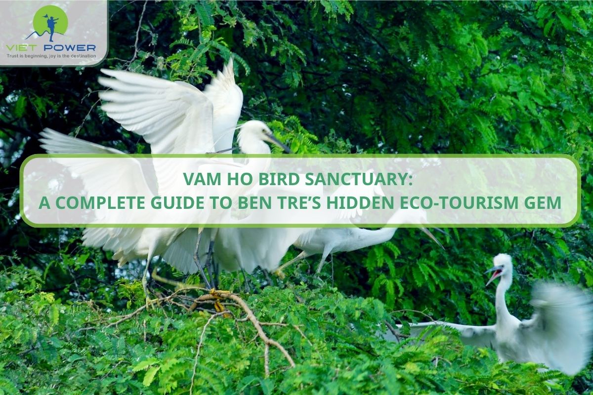 Vam Ho Bird Sanctuary: Hidden Eco-Tourism Gem in Ben Tre
