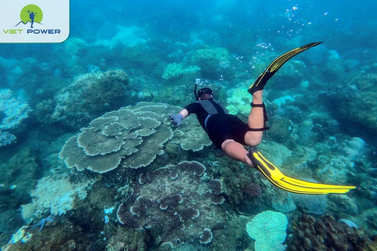 Bai But – Son Tra Peninsula