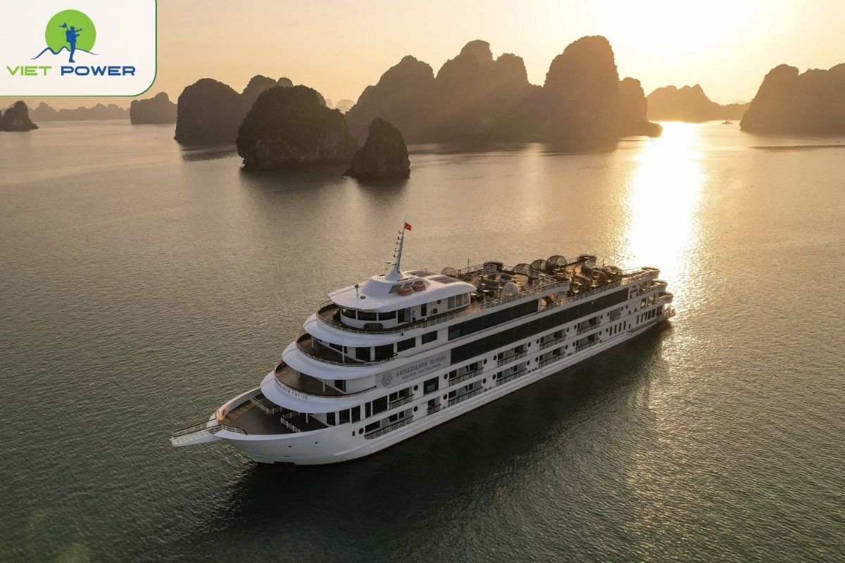 Ambassador Cruise