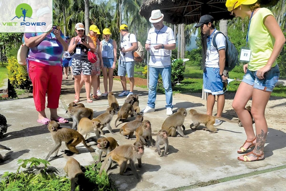 Wildlife Encounters