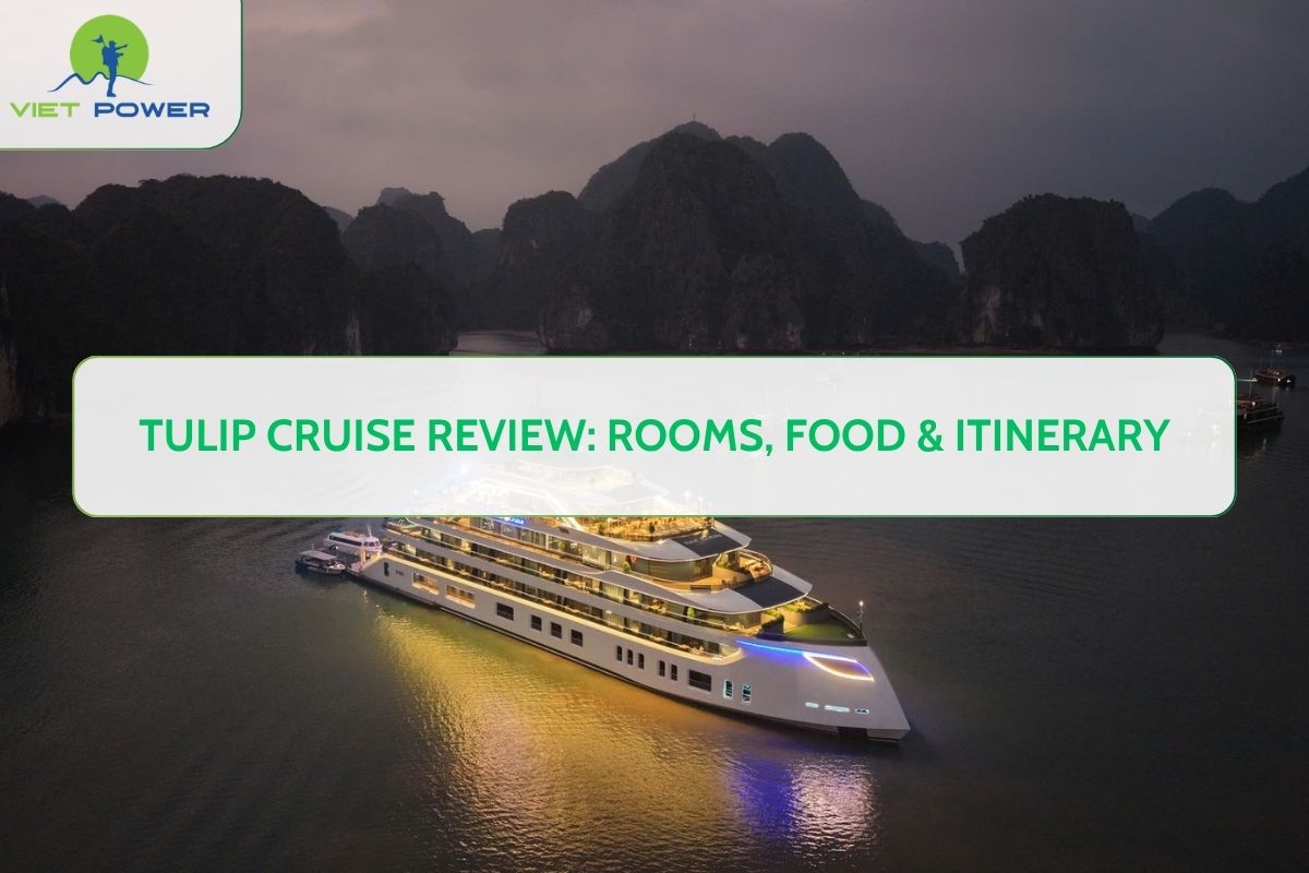 Tulip Cruise Review: Rooms, Food & Itinerary