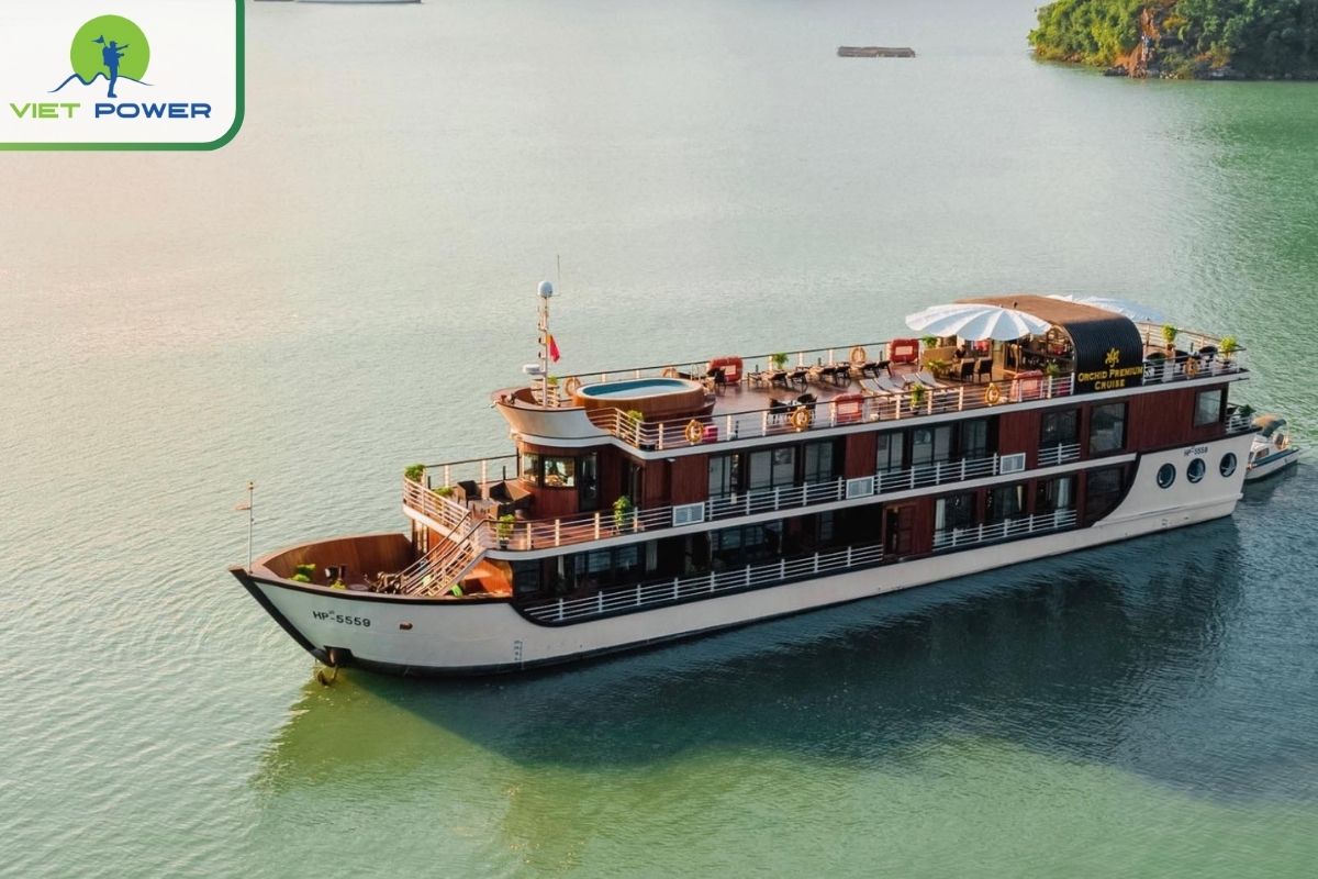 Orchid Premium Cruise