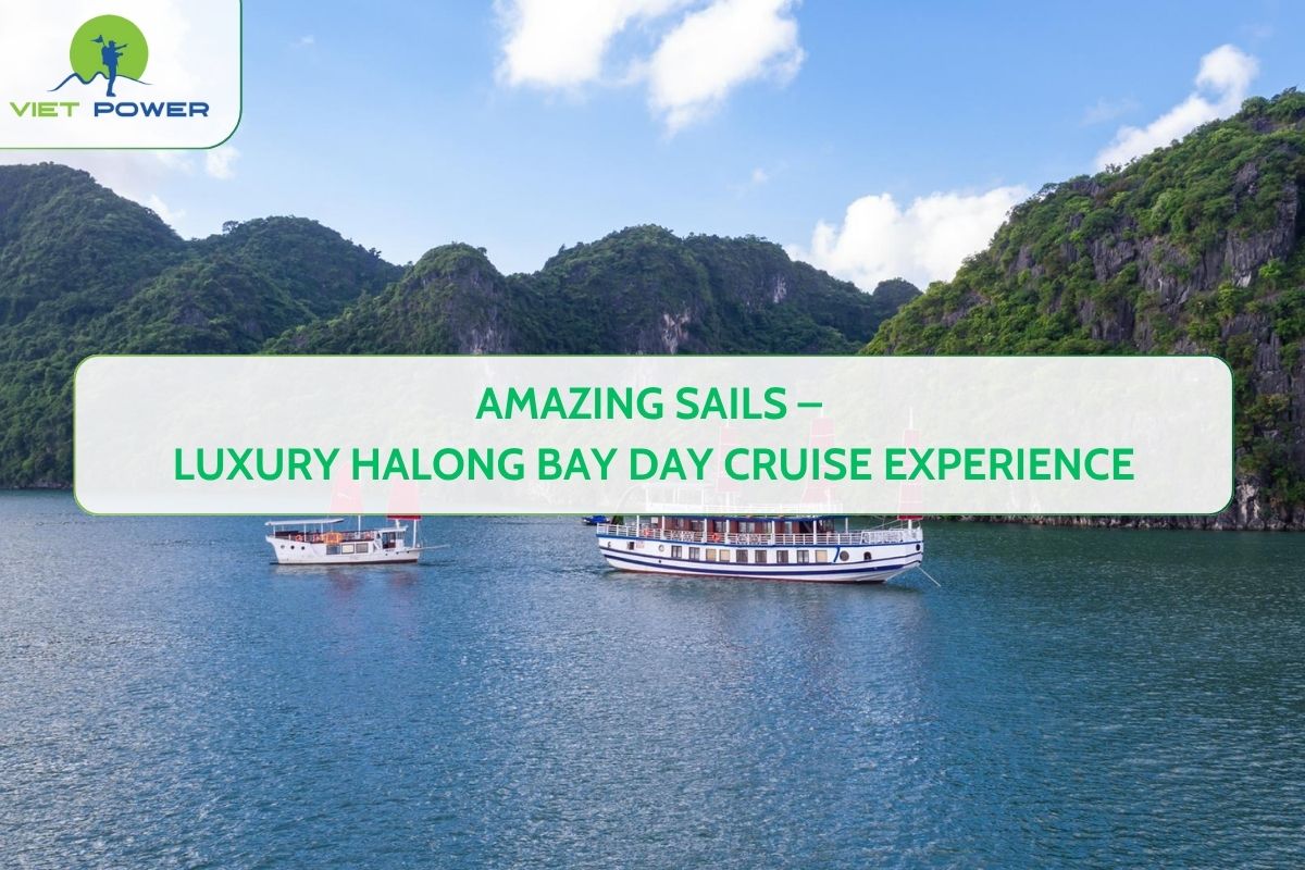 Amazing Sails – Luxury Halong Bay Day Cruise Experience