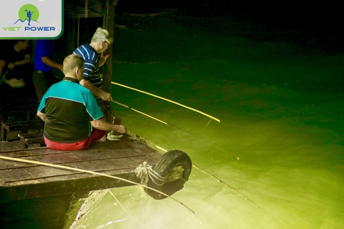 Night Squid Fishing