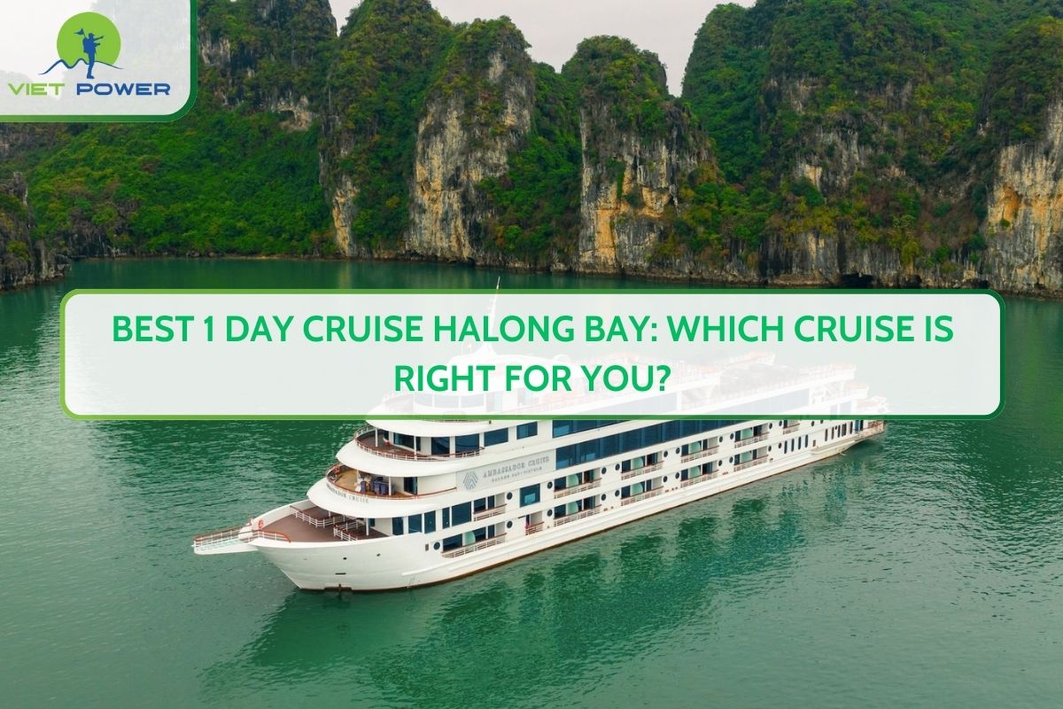 Best 1 Day Cruise Halong Bay: Which Cruise Is Right For You?