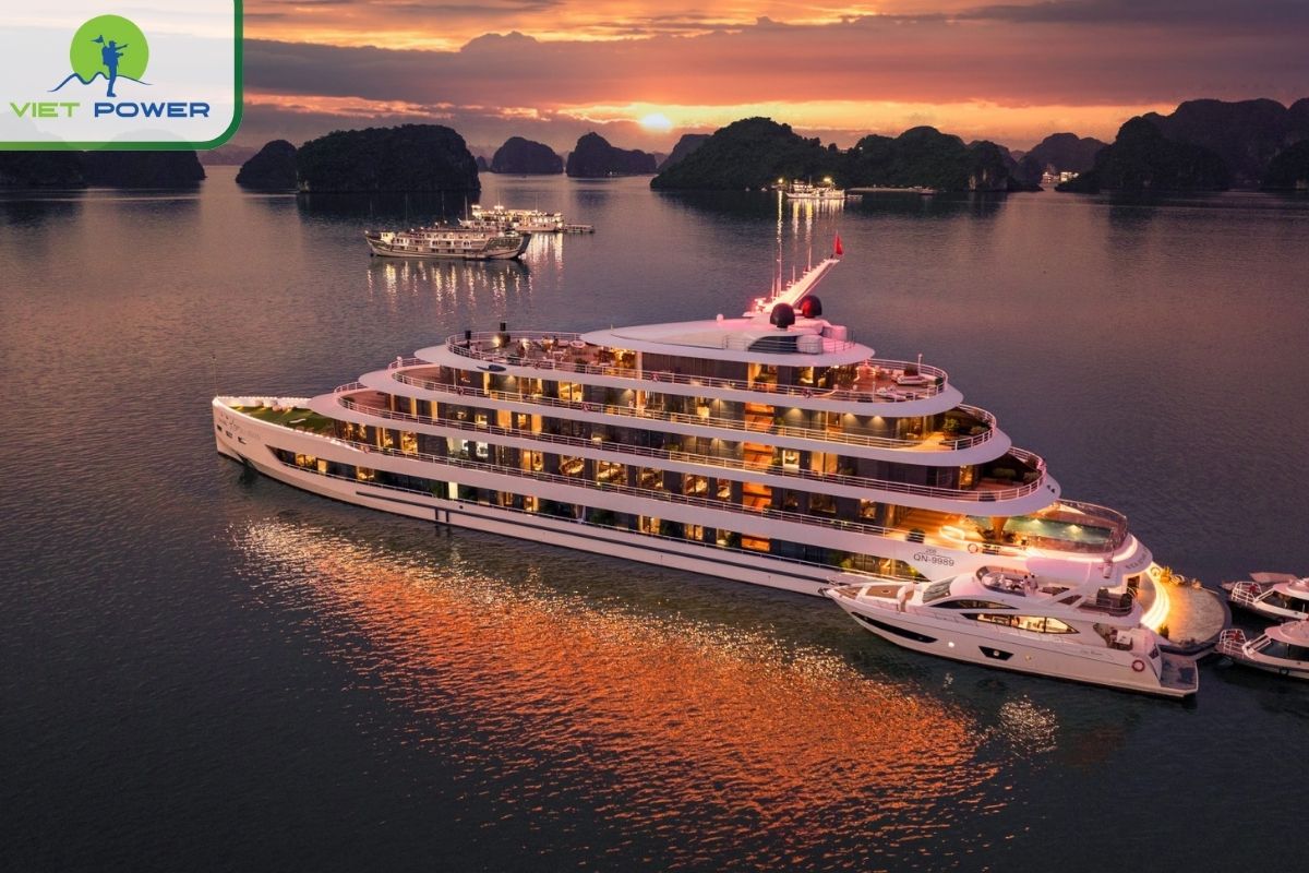 Sea Stars Cruise