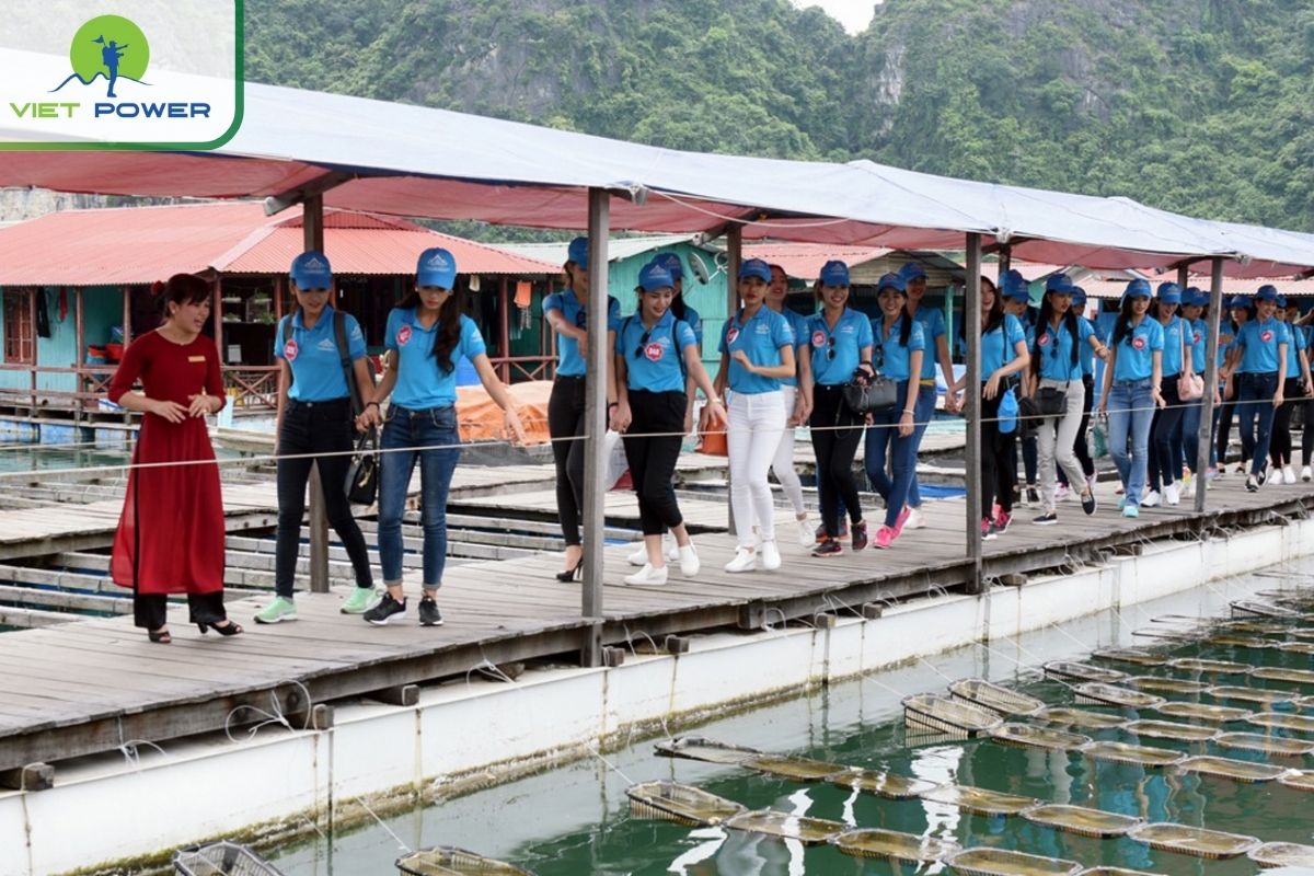 Visit Tung Sau Pearl Farm