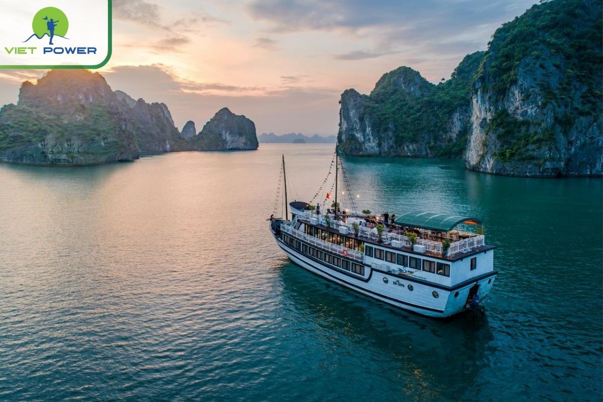 Swan Cruises Halong