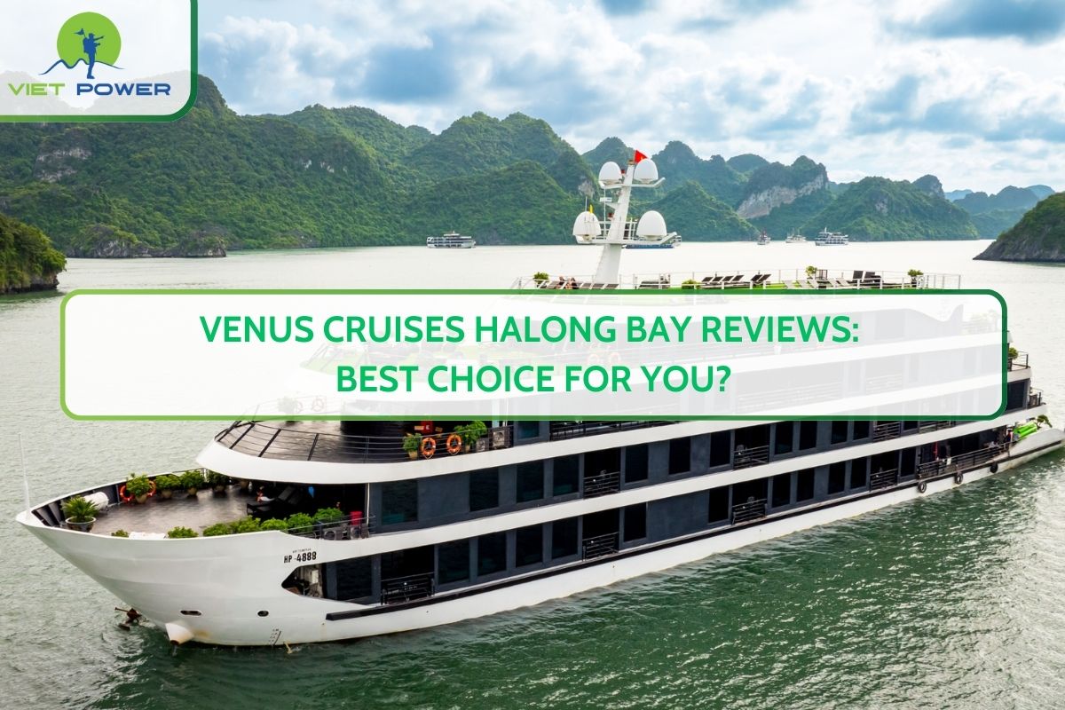 Venus Cruises Halong Bay Reviews: Best Choice for You?