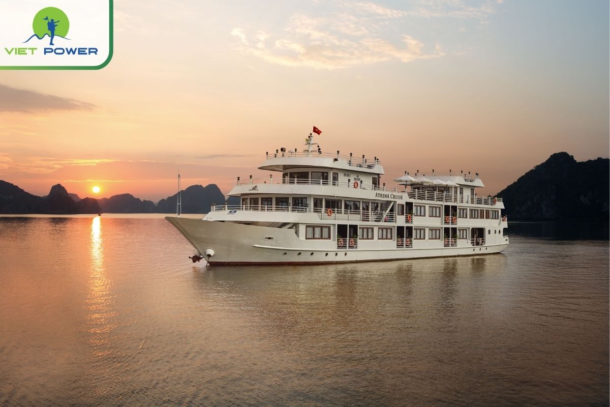 Athena Cruise