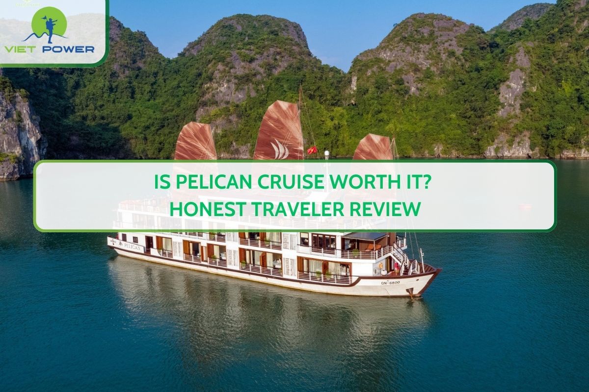 Is Pelican Cruise Worth It? Honest Traveler Review