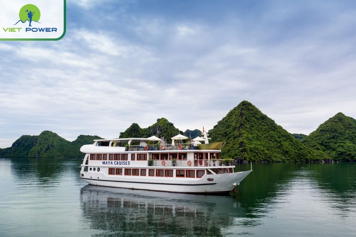 Maya Halong Cruises 