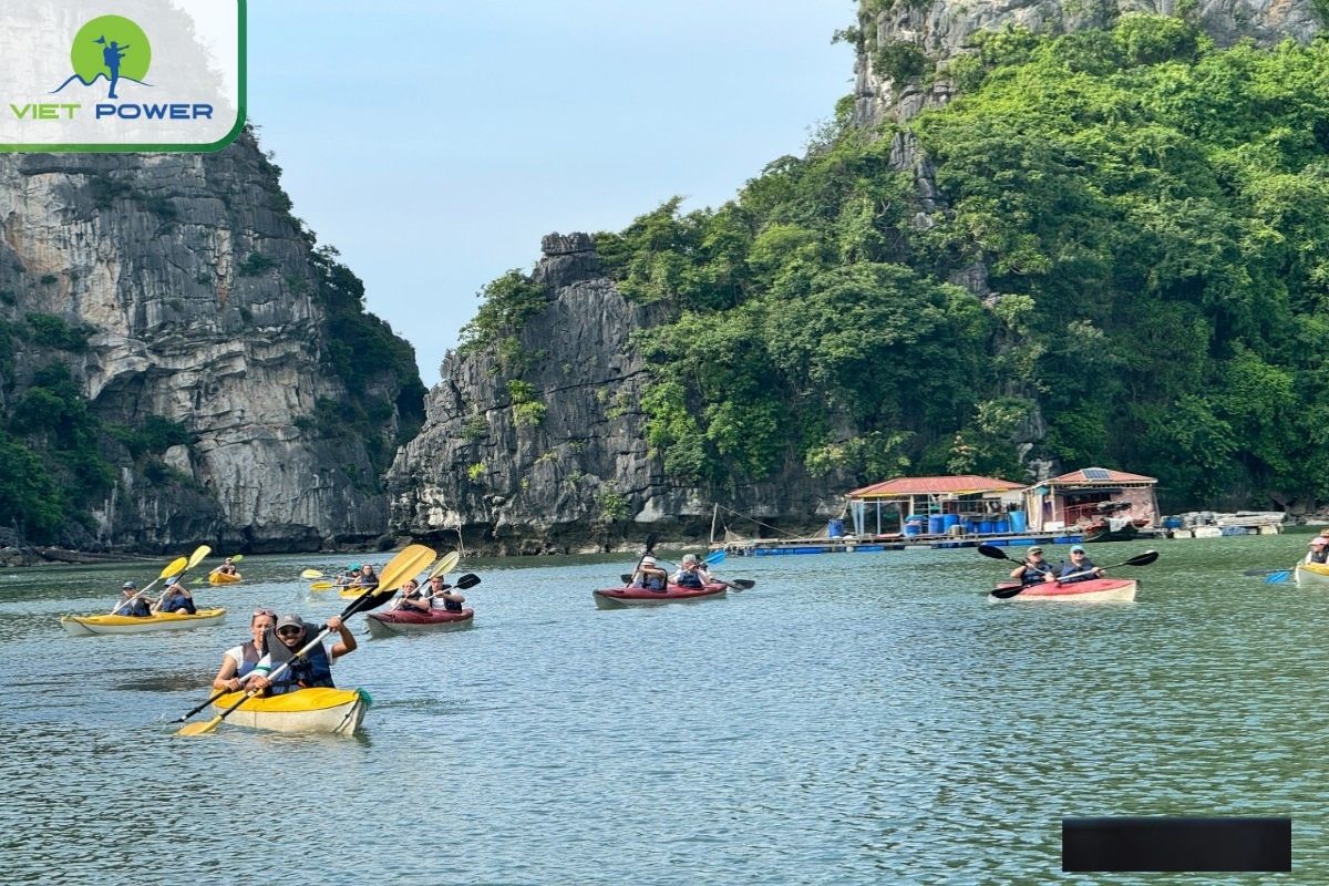 Kayak around Tung Sau Pearl Farm