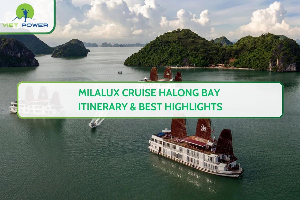 Milalux Cruise Halong Bay Itinerary & Best Highlights