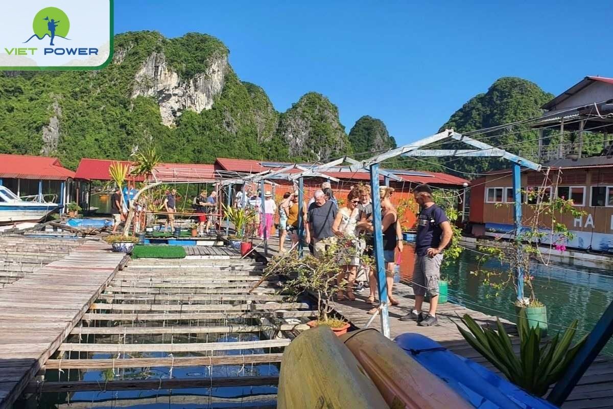 Visit to a local Pearl Farm