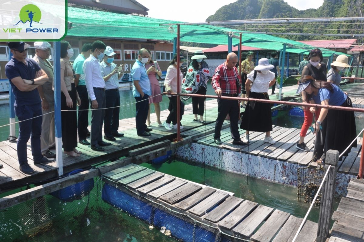 Visit a pearl village