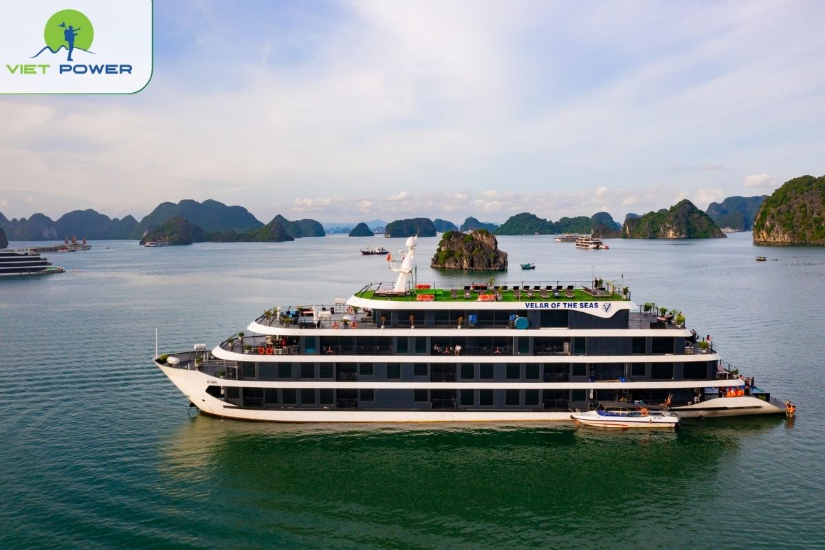 Velar of The Sea Cruise 