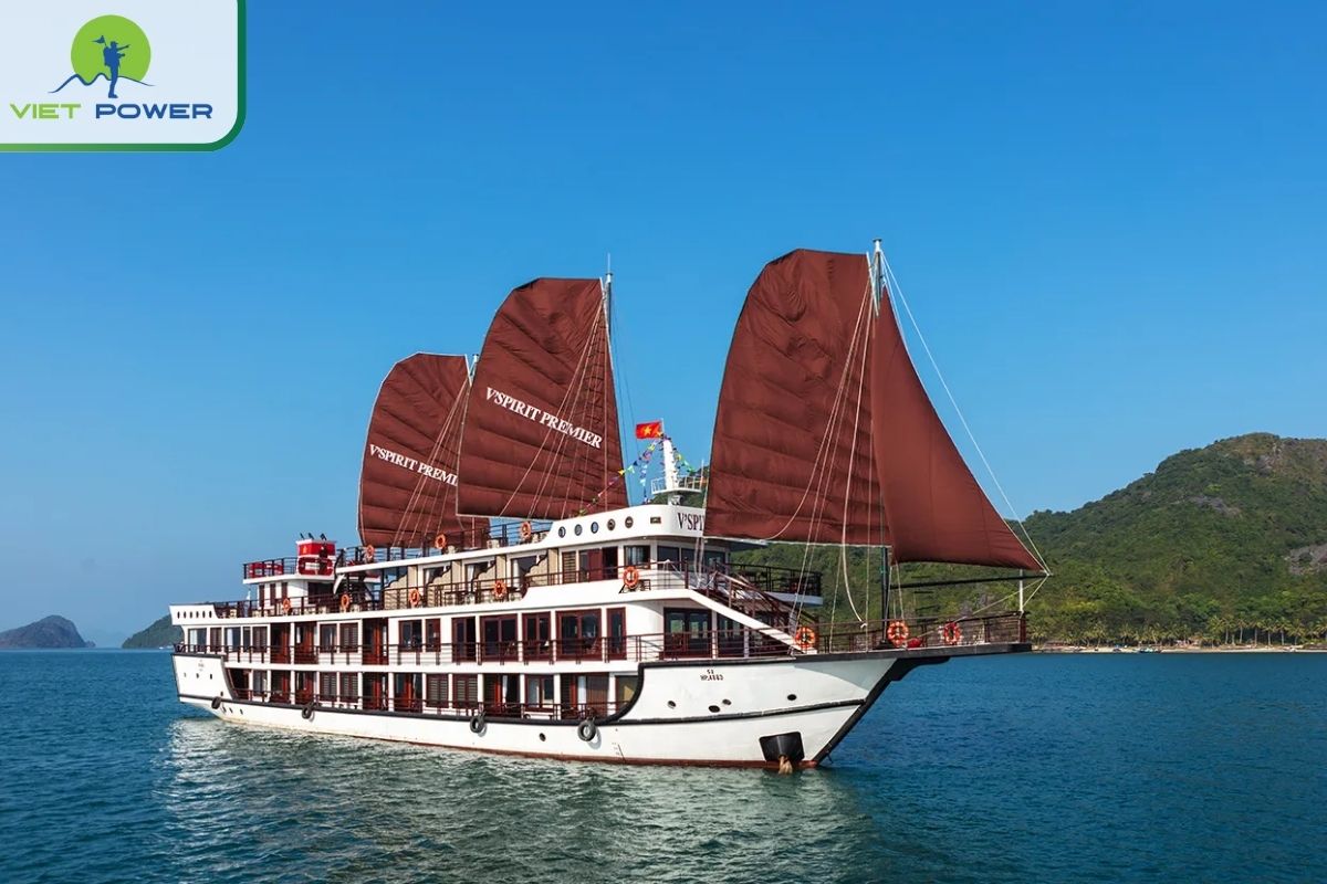 V’Spirit Cruise