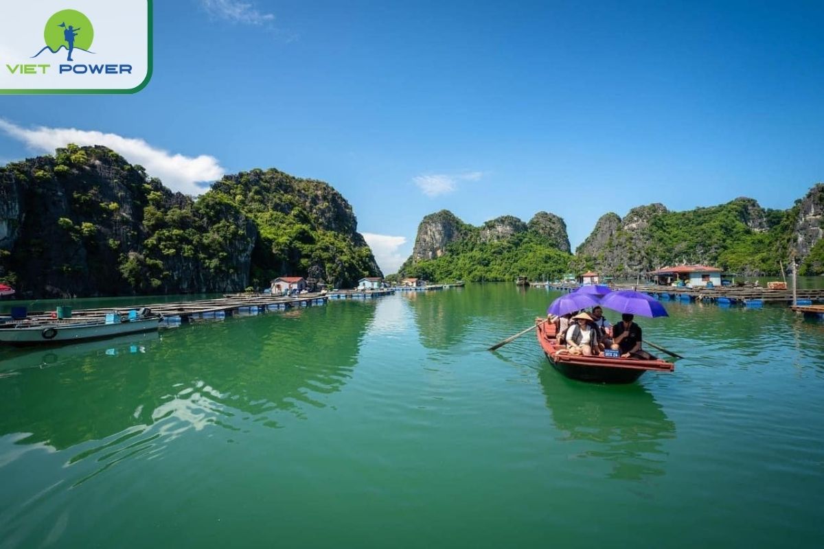 Visit Vung Vieng fishing village by bamboo boat