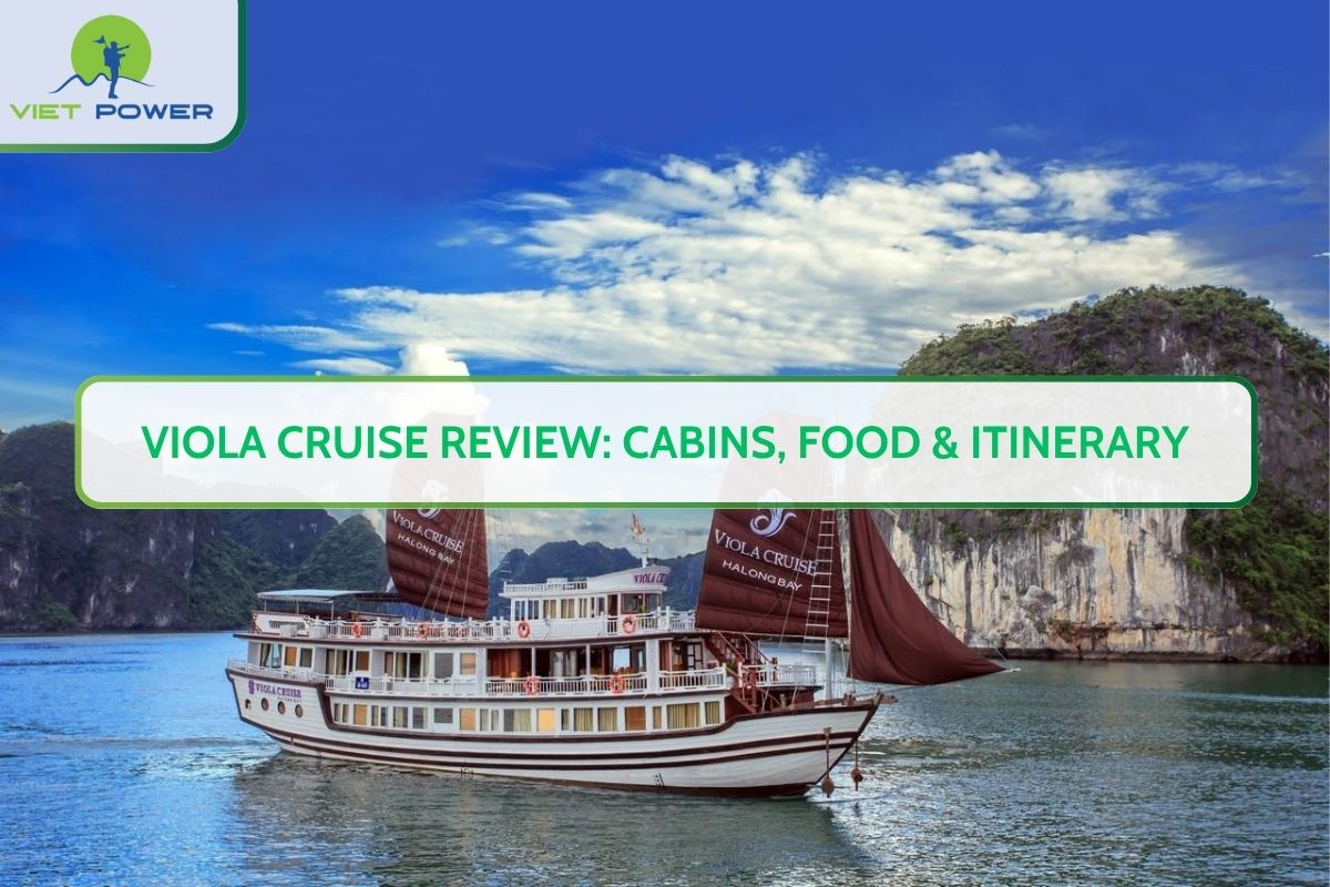 Viola Cruise Review: Cabins, Food & Itinerary