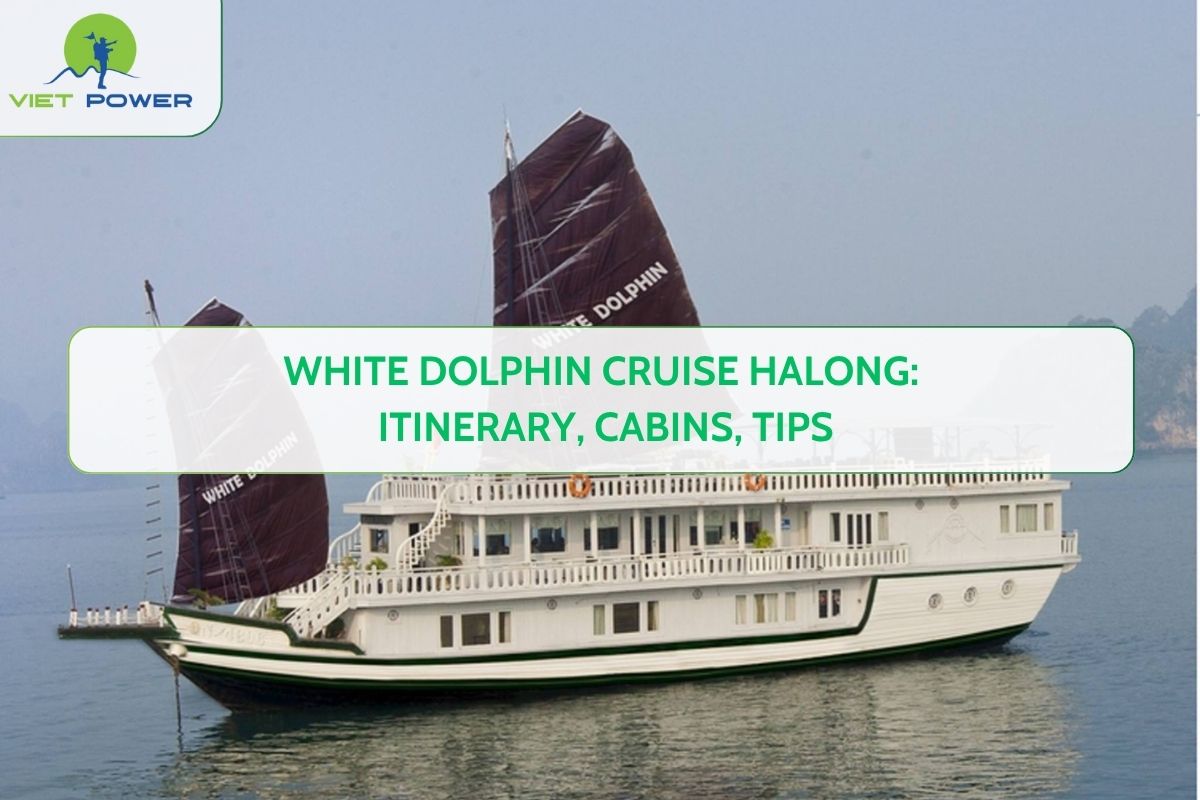 White Dolphin Cruise Halong: Itinerary, Cabins, Tips