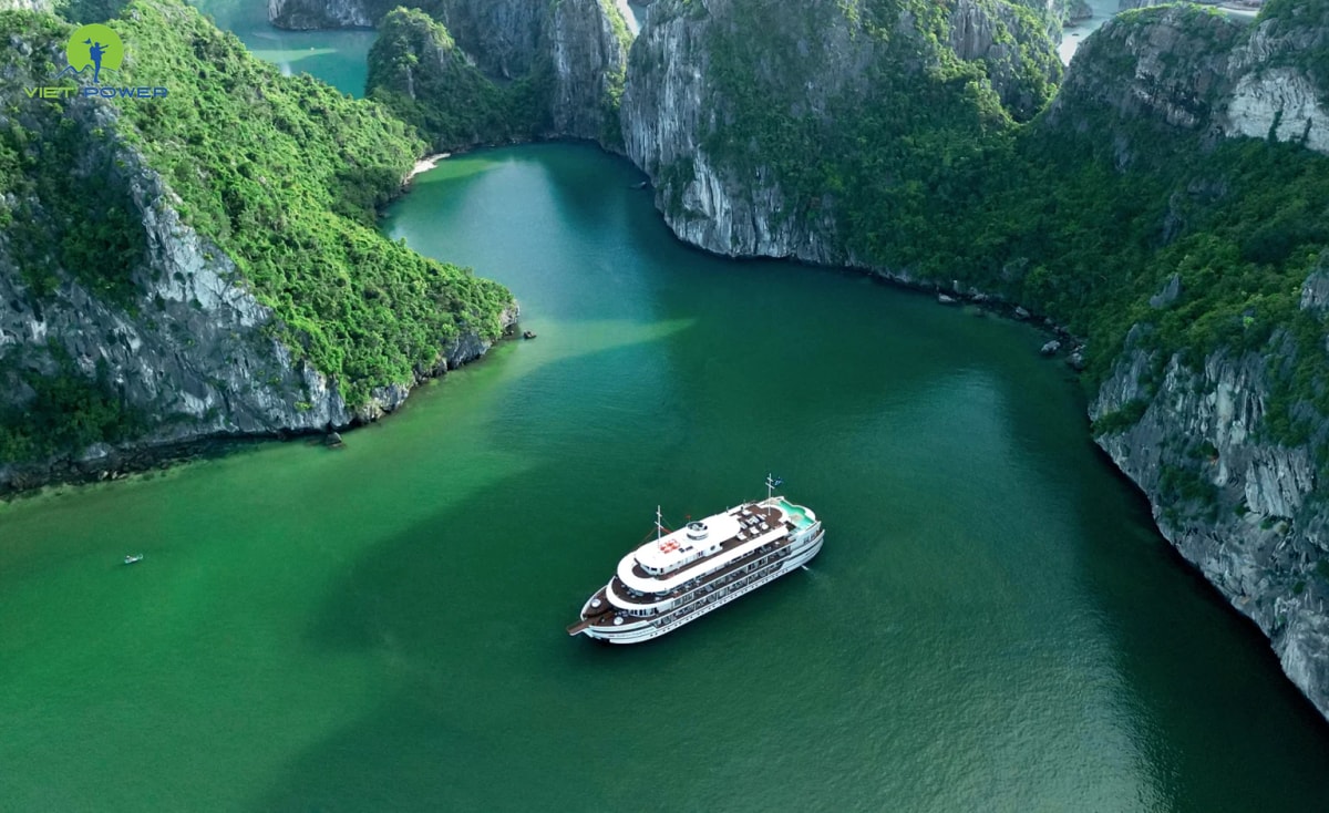 Bhaya Soul Cruise