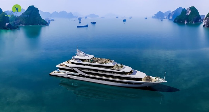 Calista Cruise