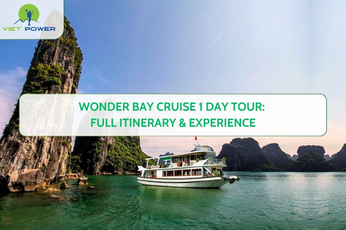 Wonder Bay Cruise 1 Day Tour: Full Itinerary & Experience