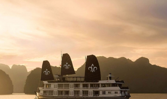 Lily Cruise