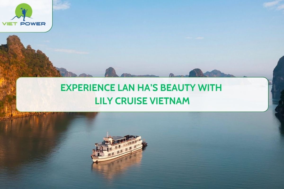 Experience Lan Ha’s Beauty with Lily Cruise Vietnam