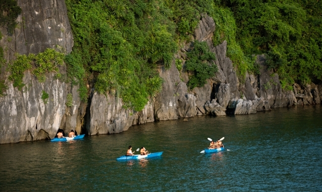 Orchid Premium Cruise