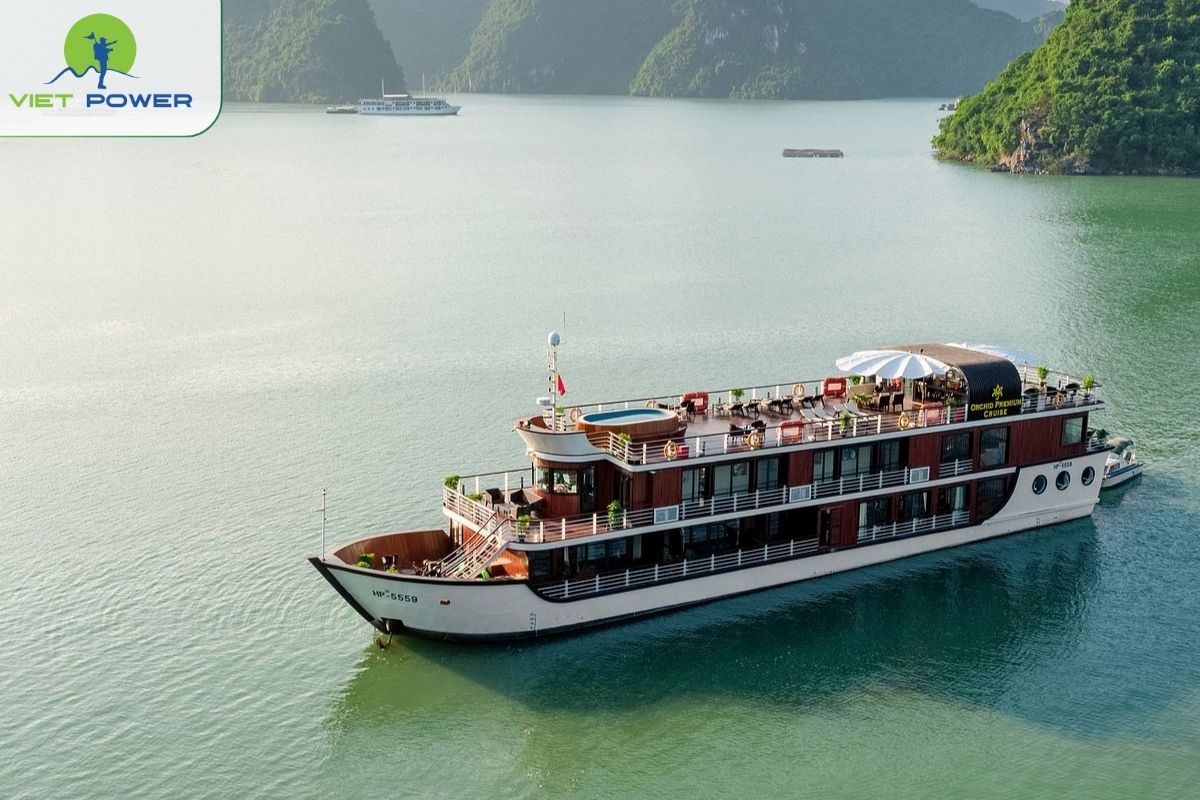 Orchid Premium Cruise