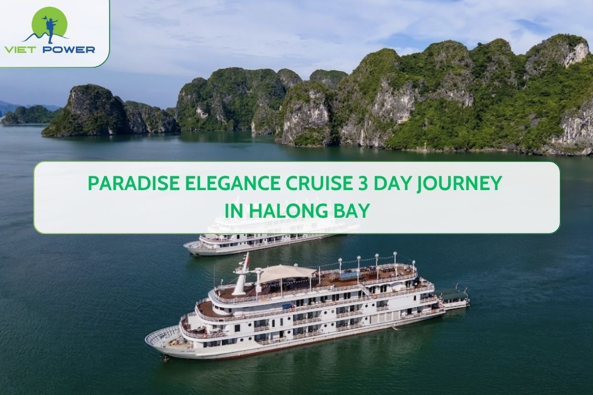 Paradise Elegance Cruise 3 Day Journey in Halong Bay