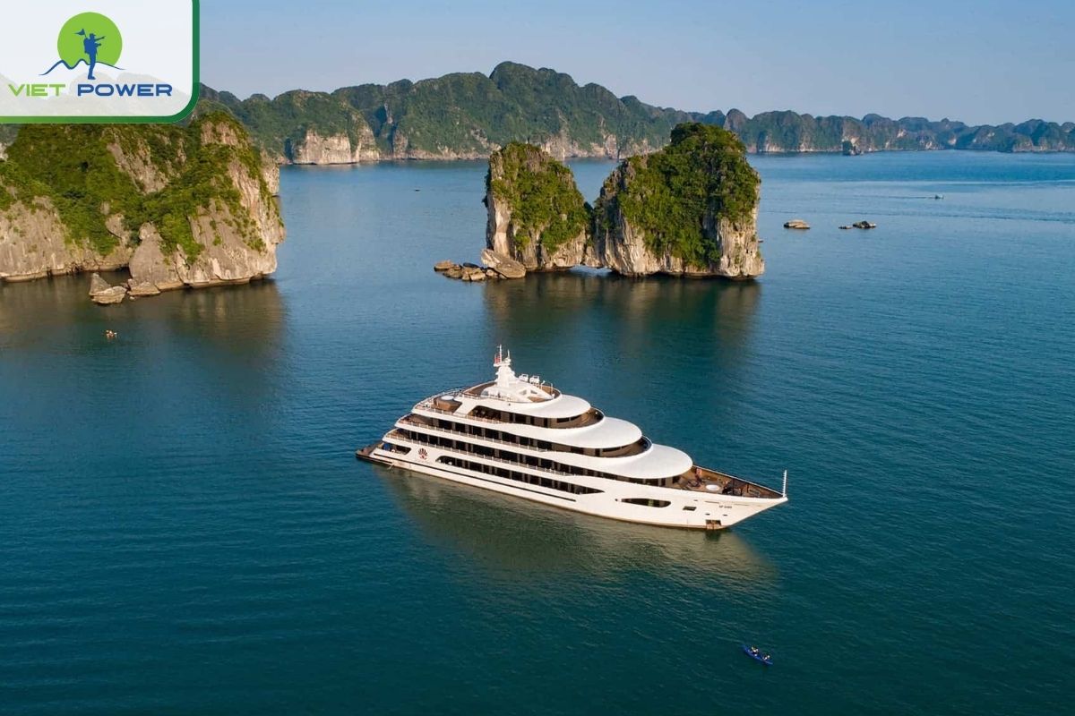 Scarlet Pearl Cruise