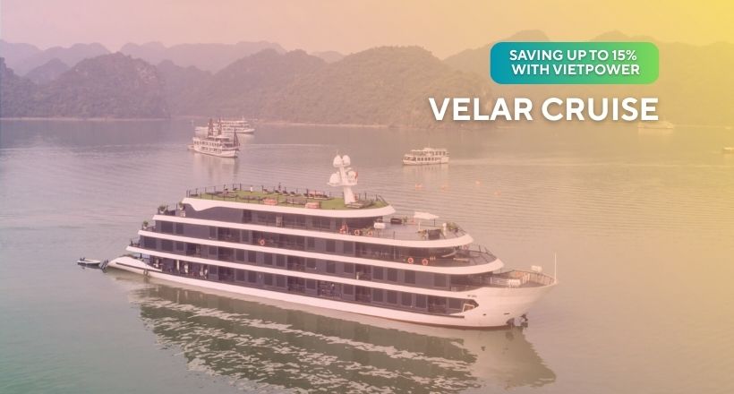 Velar Cruise