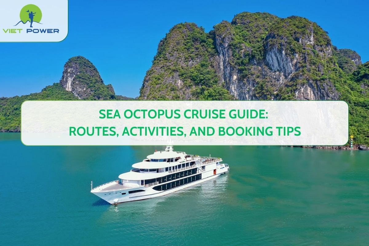 Sea Octopus Cruise Guide: Routes, Activities, and Booking Tips