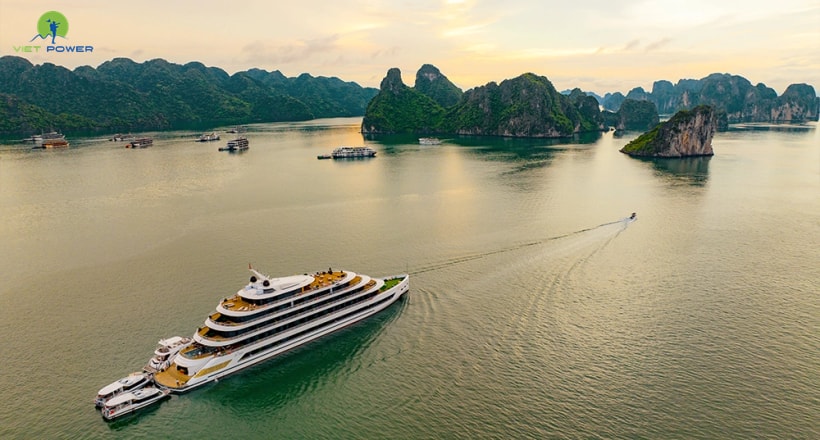 Sea Stars Cruise
