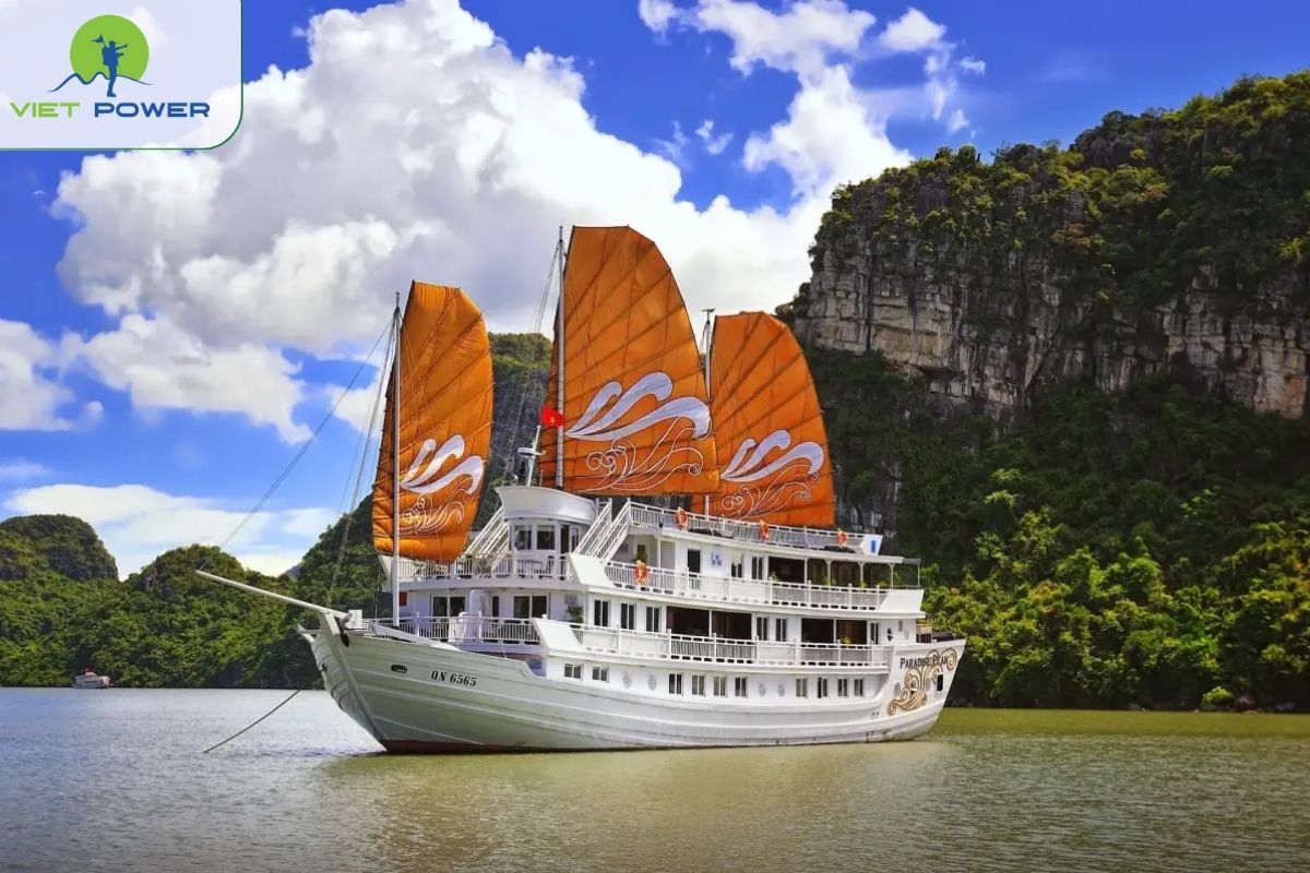 Paradise Peak Cruise