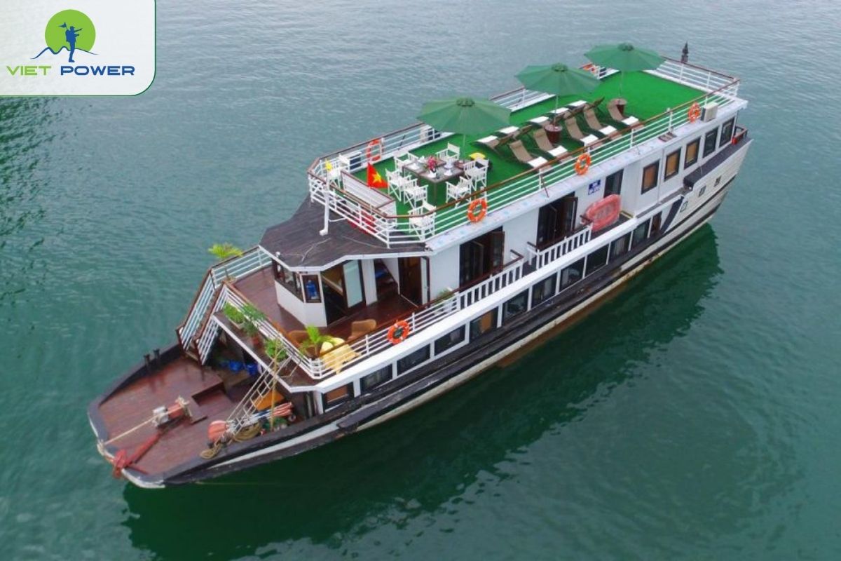 White Dolphin Premium