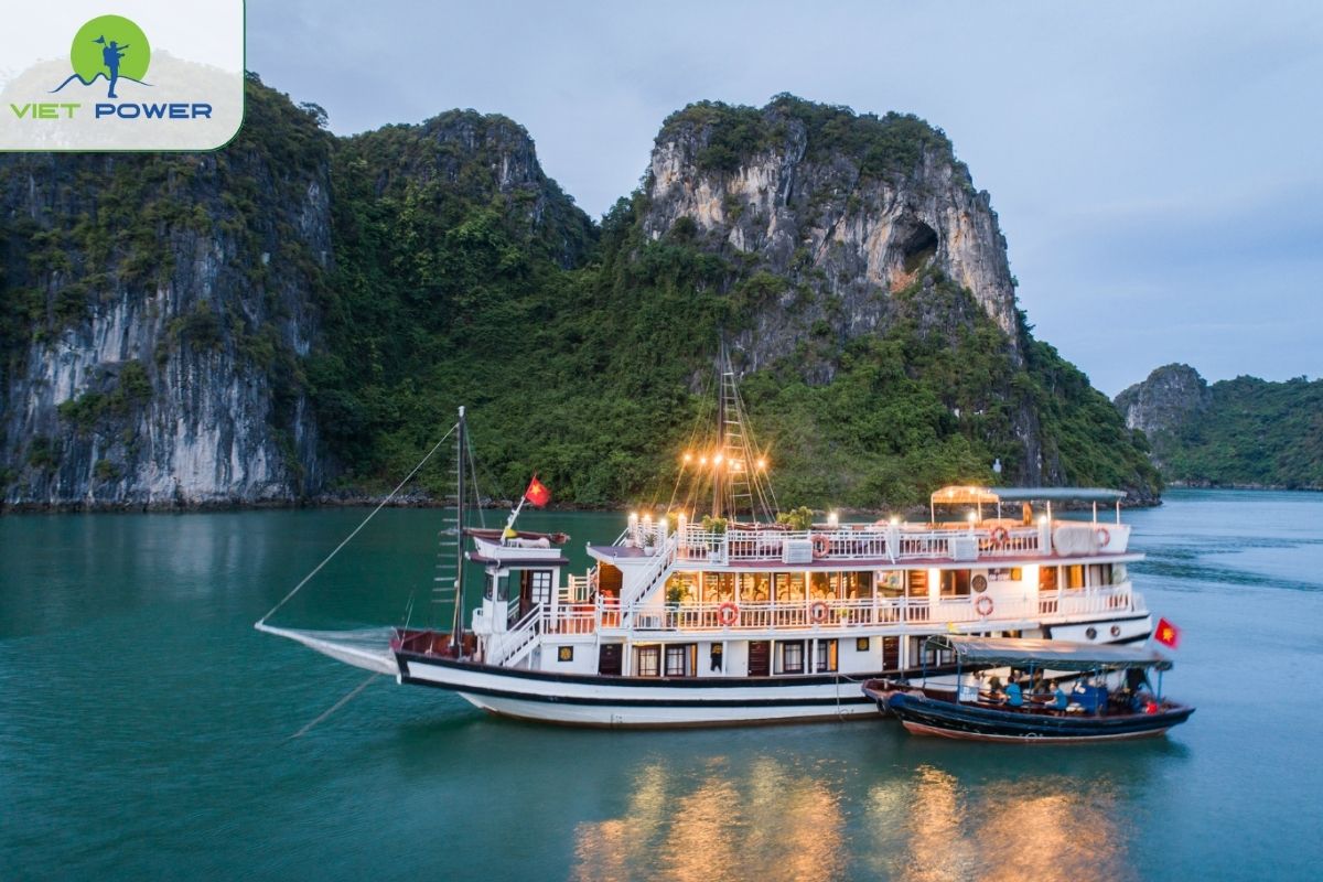 Swan Cruise 