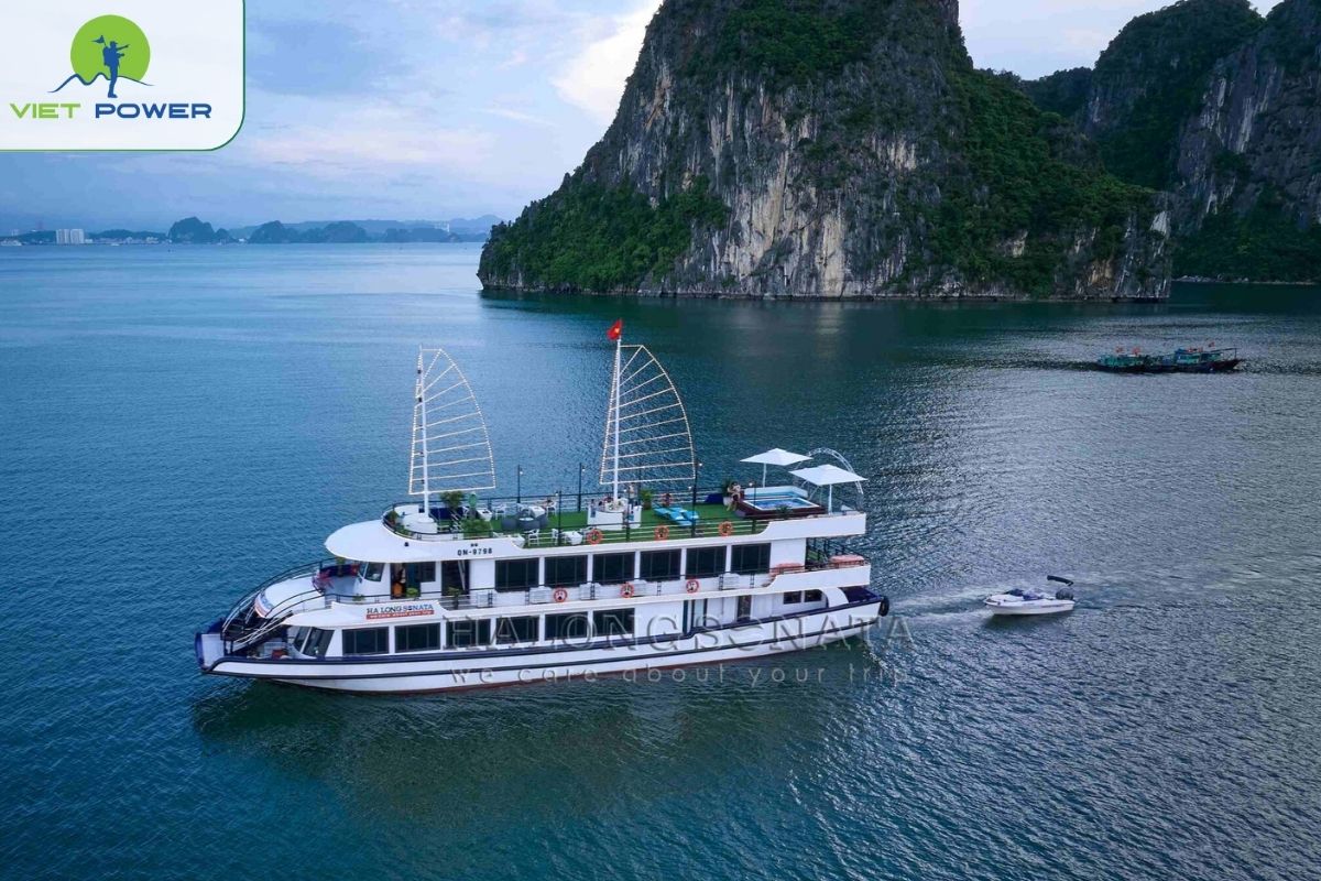Sonata Cruise 