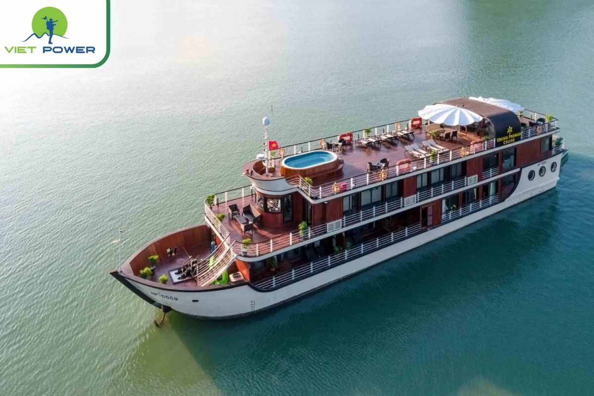 Orchid Premium Cruise