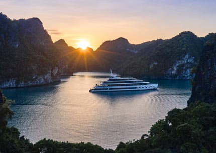 Best Cruises