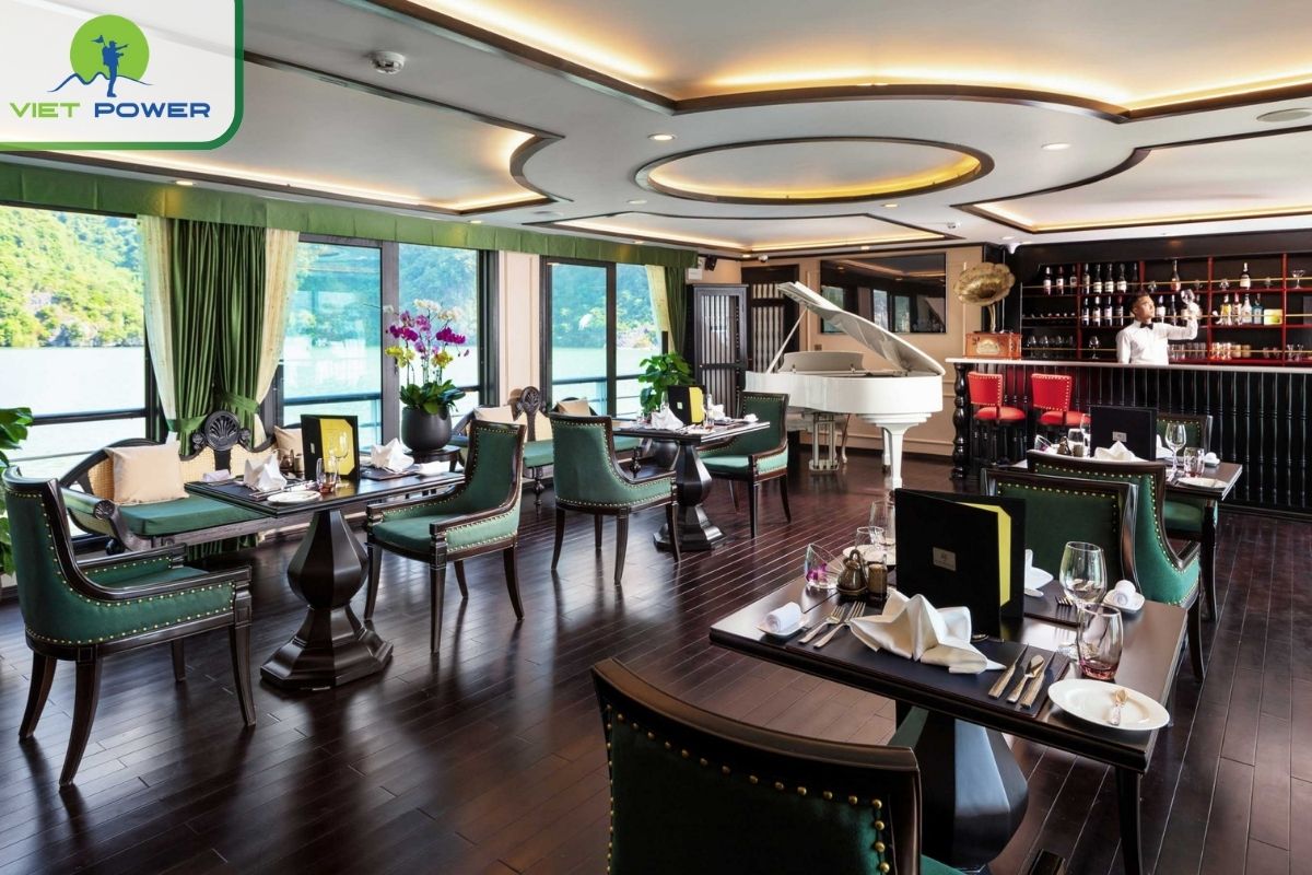 Orchid Cruise's in-house bar