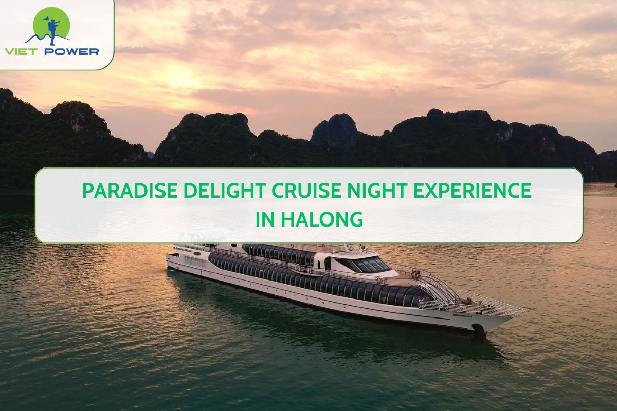 Paradise Delight Cruise Night Experience in Halong